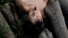 A+ Online Festival of Video Art