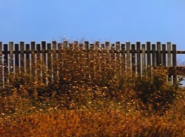 A+ Online Festival of Video Art