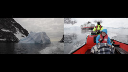 A+ Online Festival of Video Art