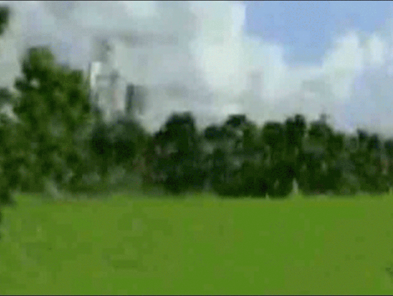 A+ Online Festival of Video Art